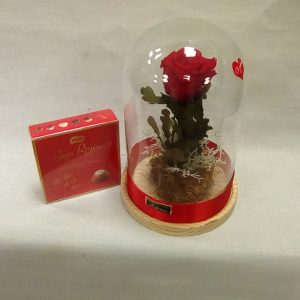 Cupula de cristal con bombones-35x18