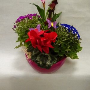 Centro de plantas en ceramica.